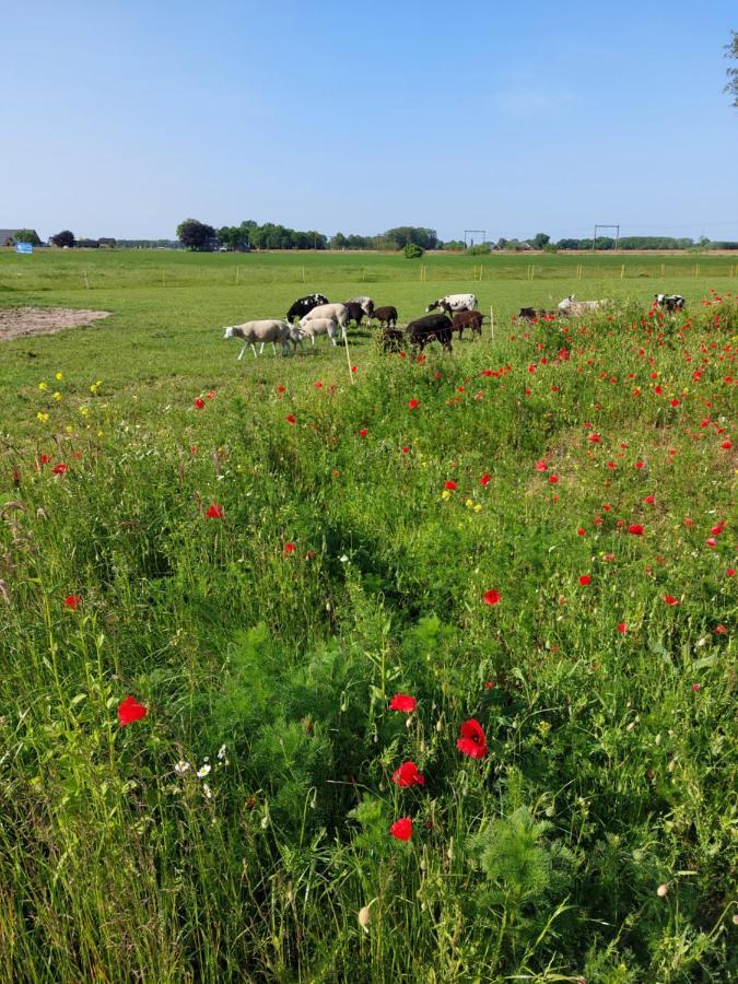 Boerderijkamer De Hooizolder Wijhe Exterior foto